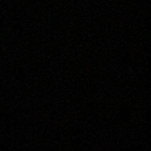 Meet your Posher, Summer